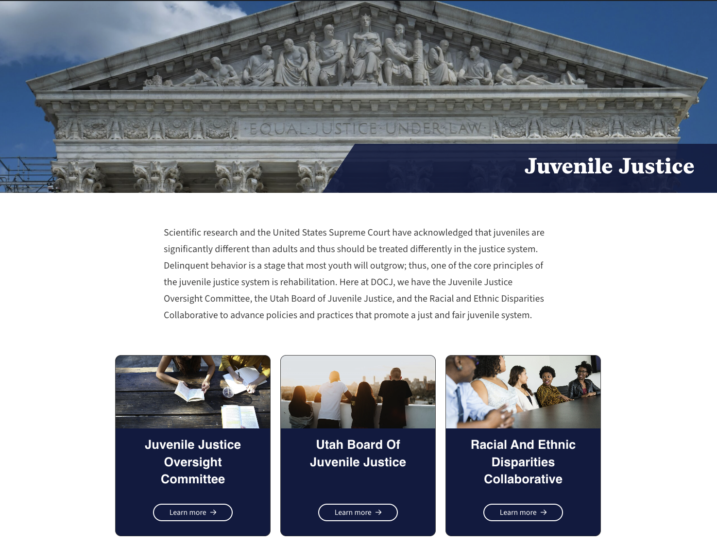 'Juvenile Justice' collage showing a city skyline, small group photos, and labels for the Juvenile Justice Oversight Committee, Utah Board of Juvenile Justice, and Racial and Ethnic Disparities Collaborative.
